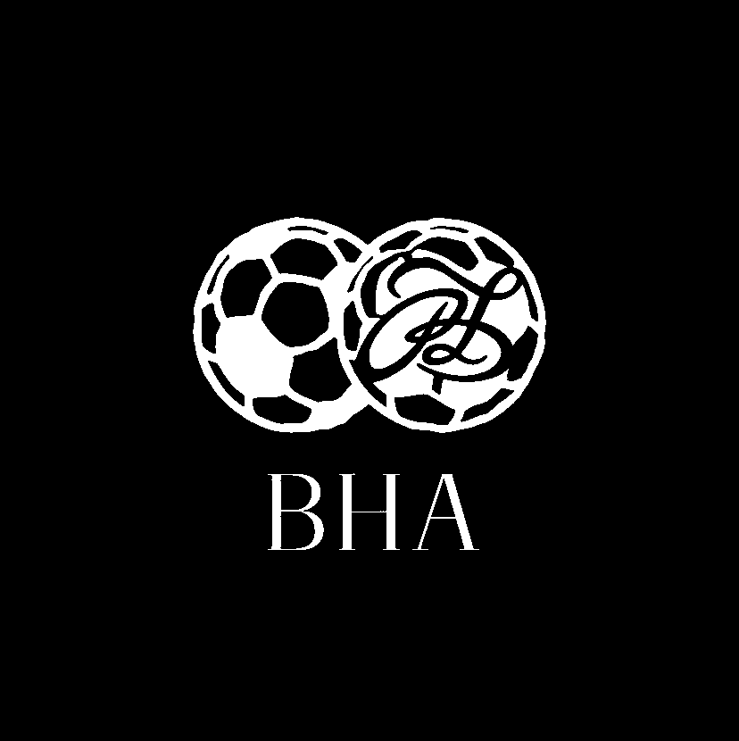 BHA BootsHead 标志